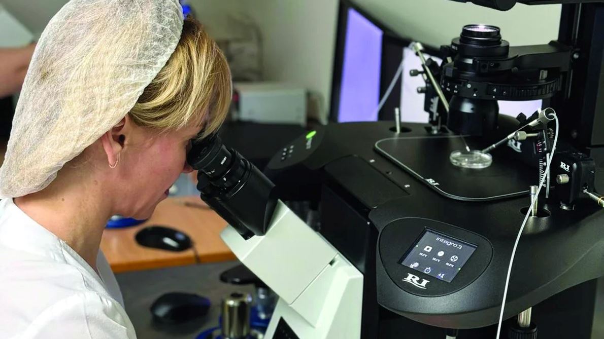 p ivf c ii 1 
