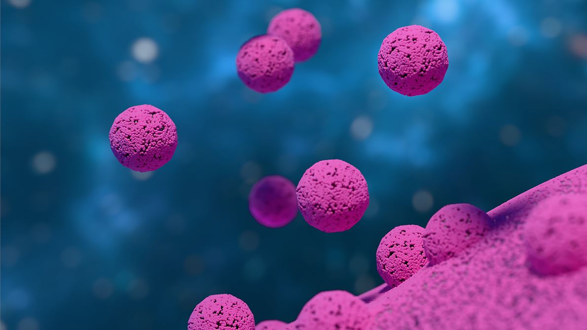 Exosomes Expand the Power of Liquid Biopsy in Cancer Diagnostics