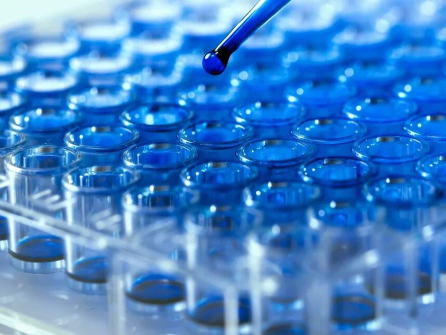 CAP Molecular Proficiency Testing Programs Show Accurate Clinical Cancer Sequencing Results