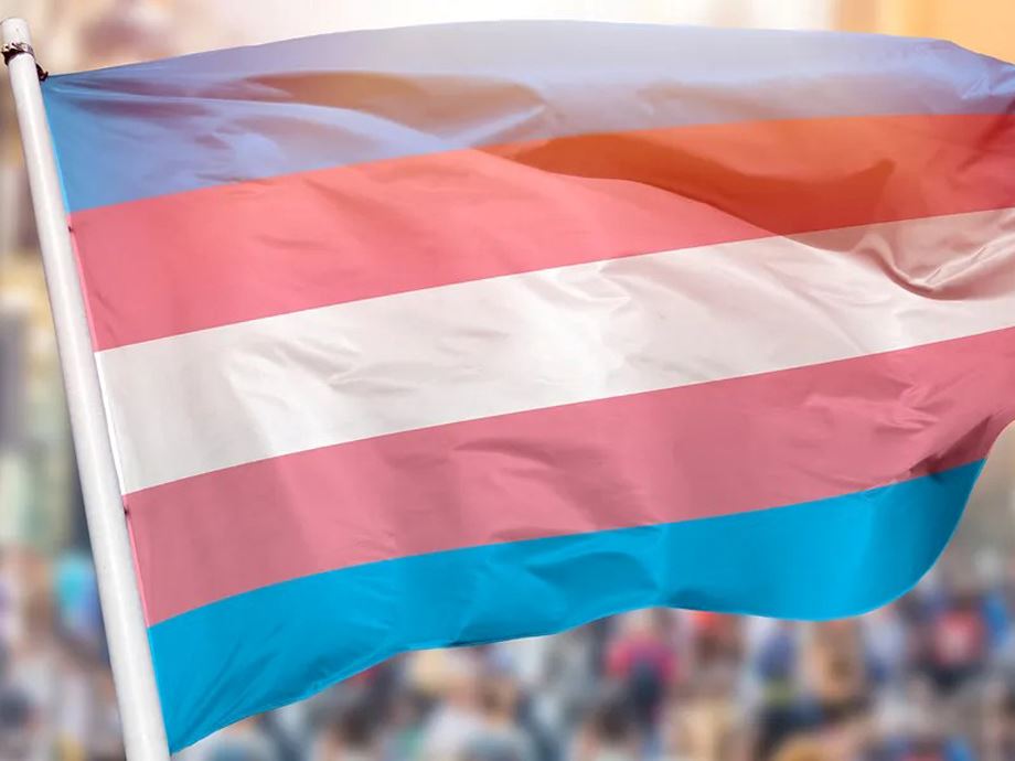 The Far Reaching Impact of Anti LGBTQ Legislation