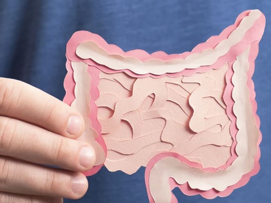 What is your gut microbiome?