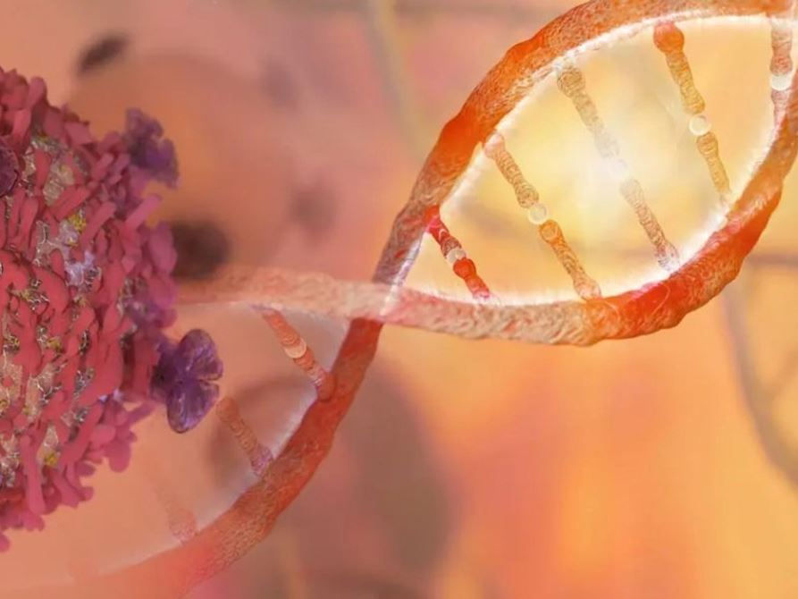 Circular RNAs: The New Frontier of Cancer Research