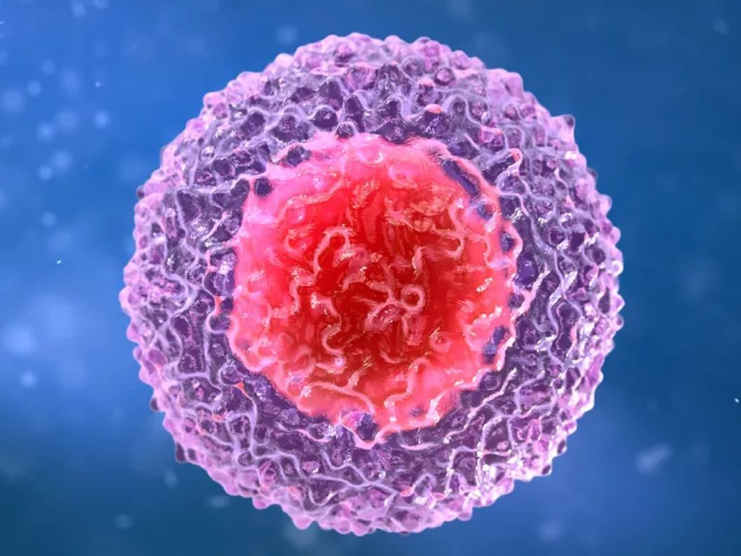 us 2013 013 l l 1200 800