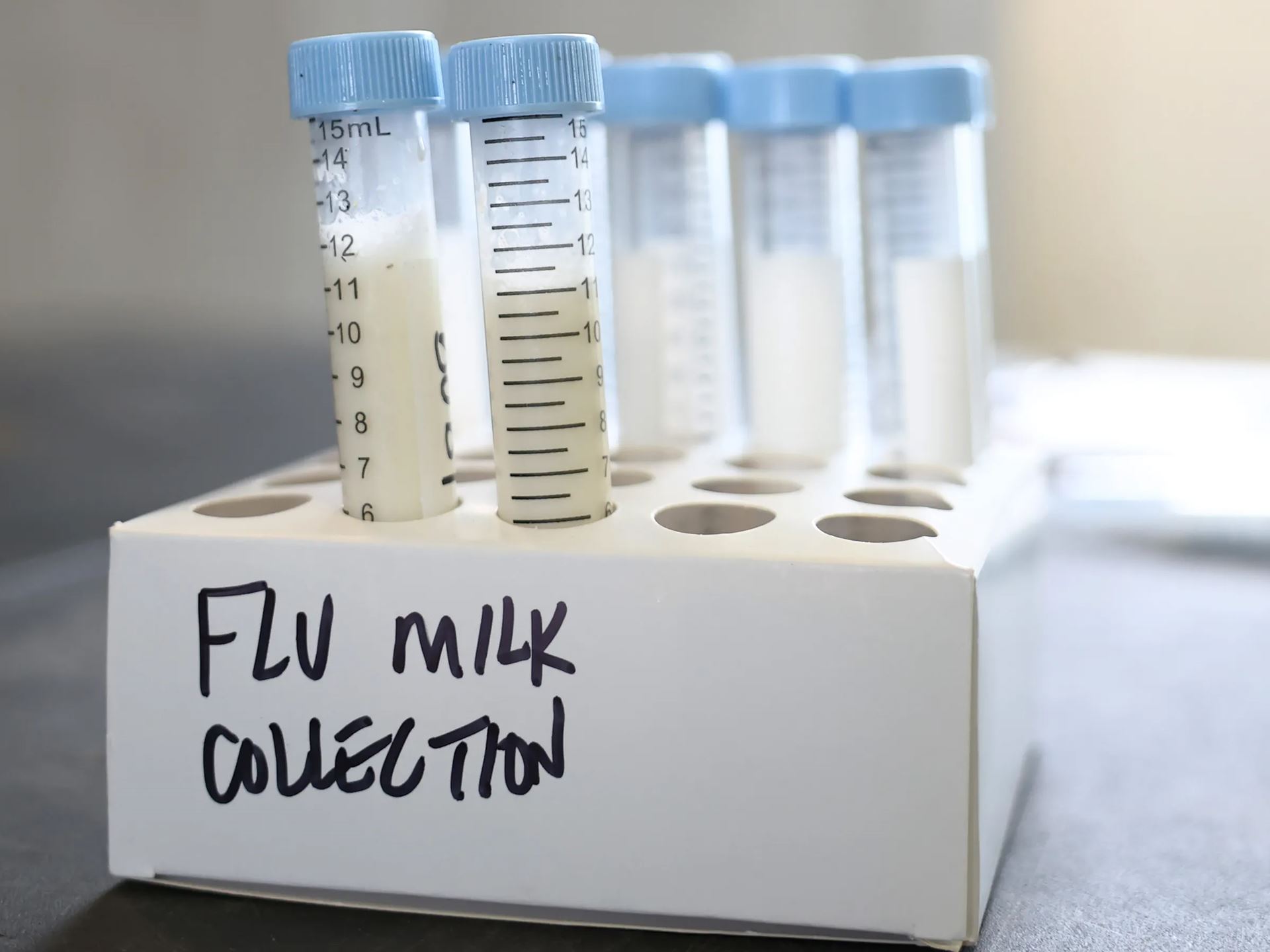 US has first severe bird flu case When should we start to worry