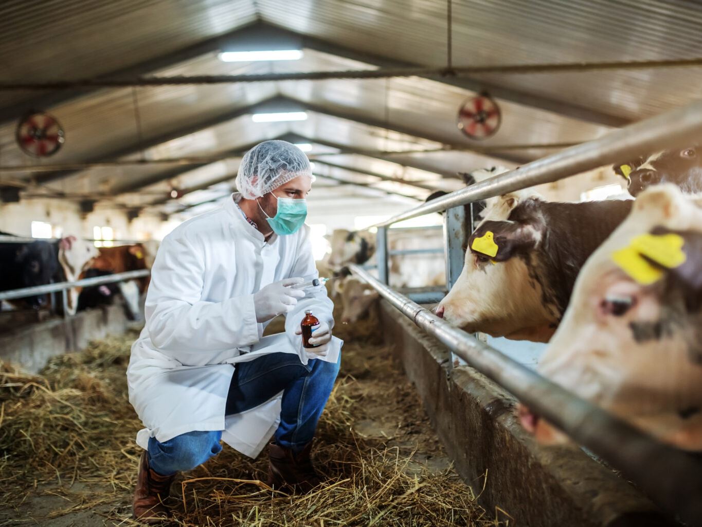 Bird flu detected in a human for first time in Iowa