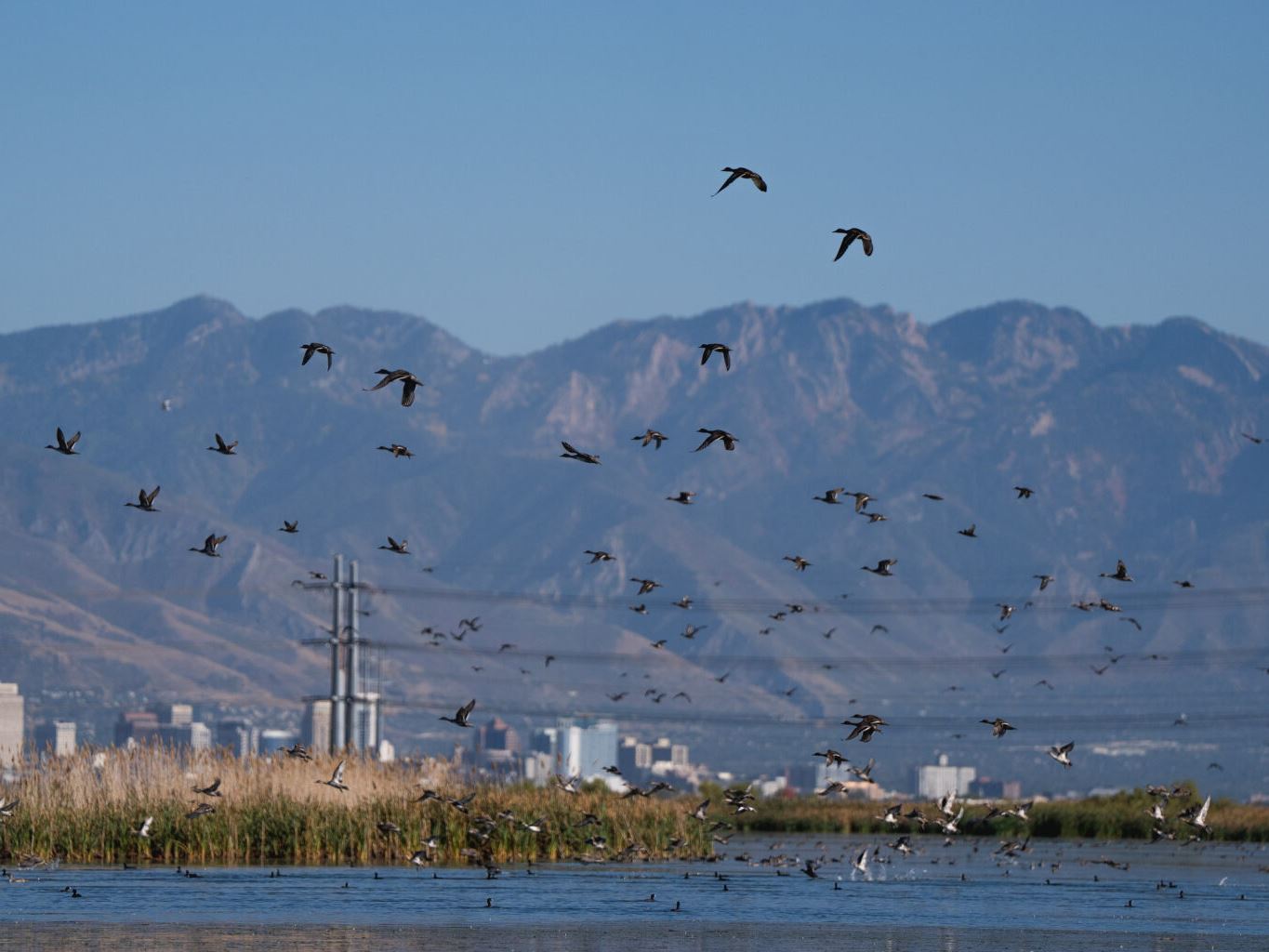 092724 und i p 15 1536 1024