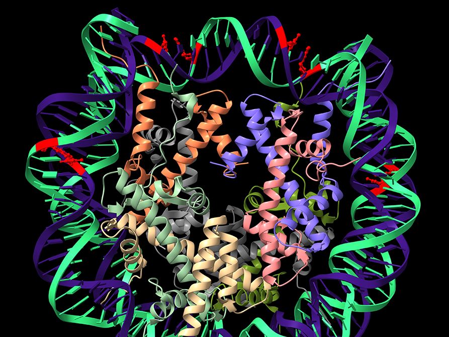 Breakthrough in Cancer Diagnostics CAP Explores DNA Methylation Profiling Revolutionizes Tumor Classification