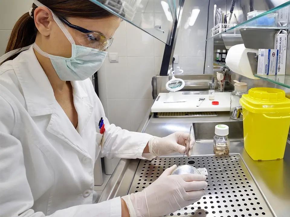 Future of Lab Developed Tests Still Taking Shape