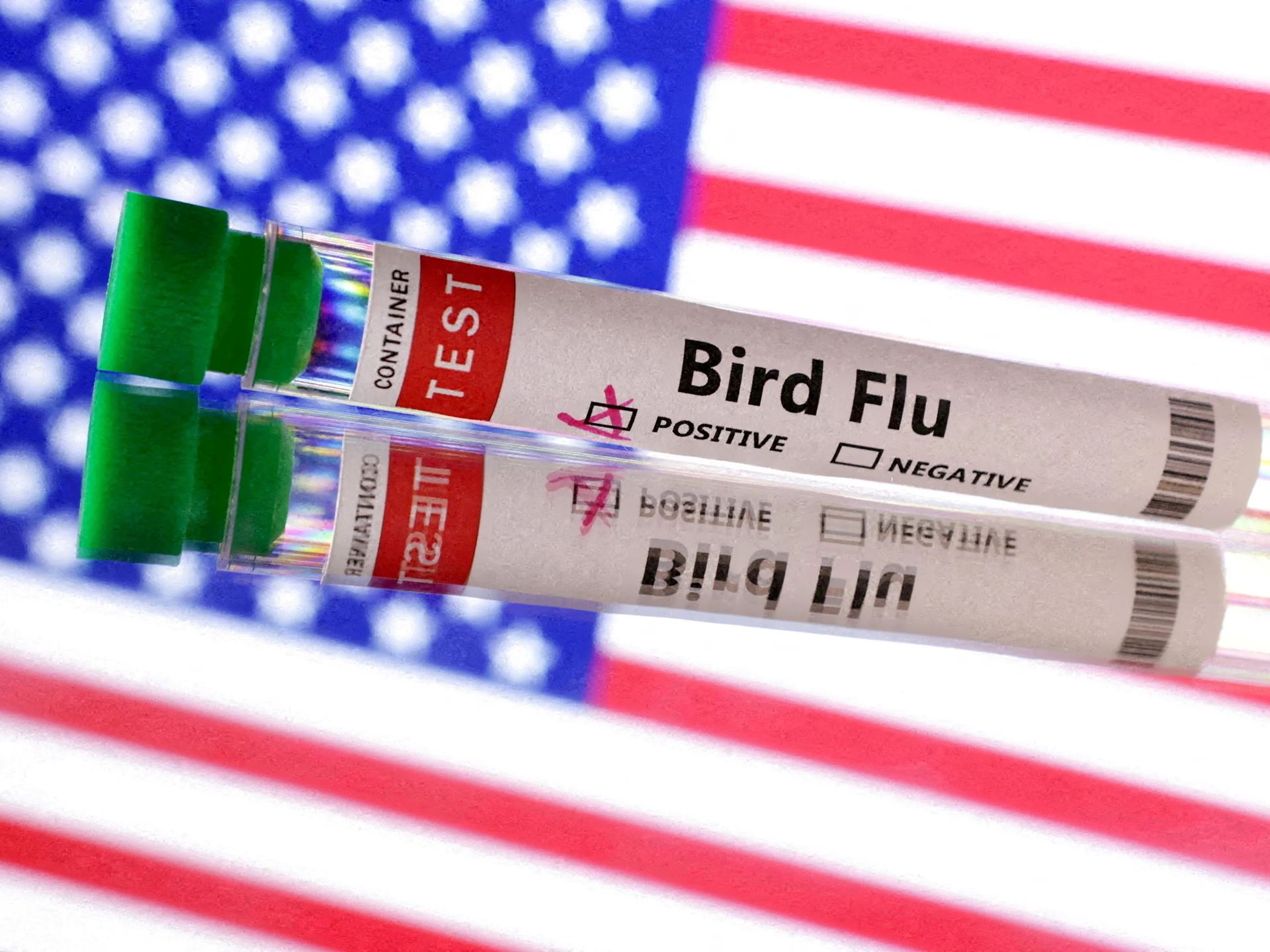 Has the bird flu spread across the US? See map as virus continues to wreak havoc