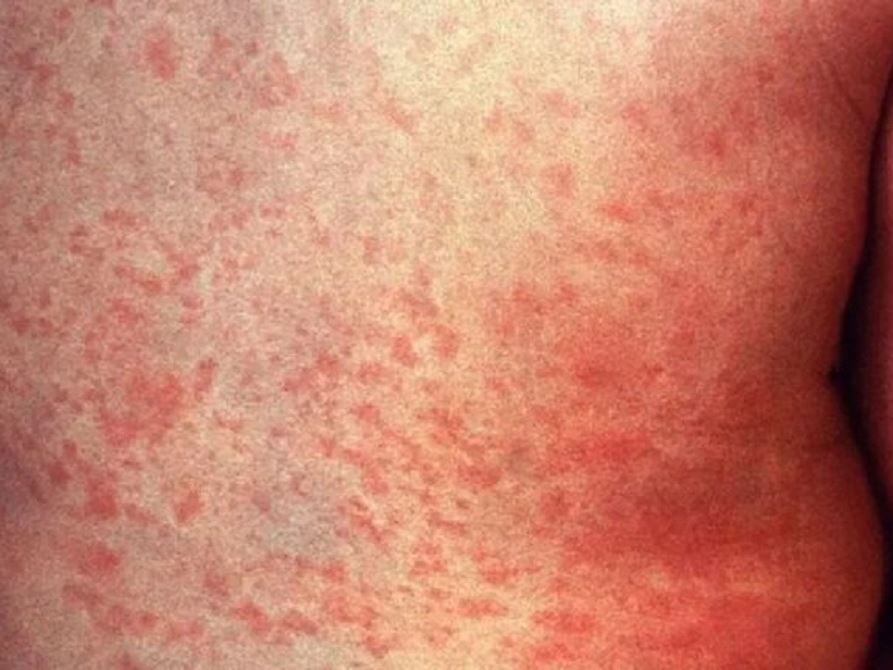  60 189 3011 48 4 9289 1 0 0 8 67 16 9 768 432