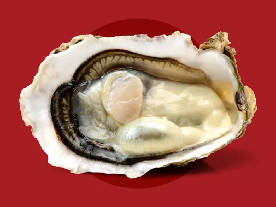 o b f a a r s ft blog0425 23962 86 0845 8 236308 016