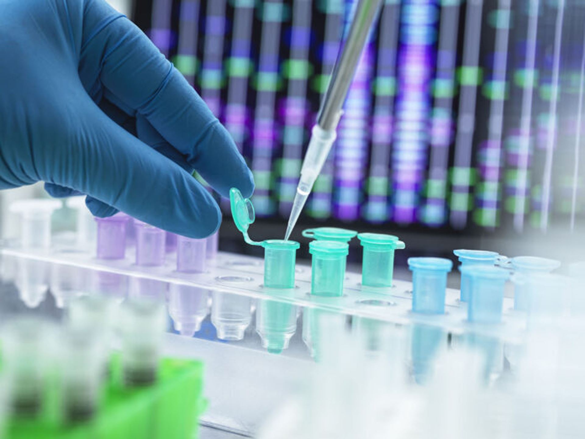 j 1 2025 g i 1835361547 dna i t 696 522