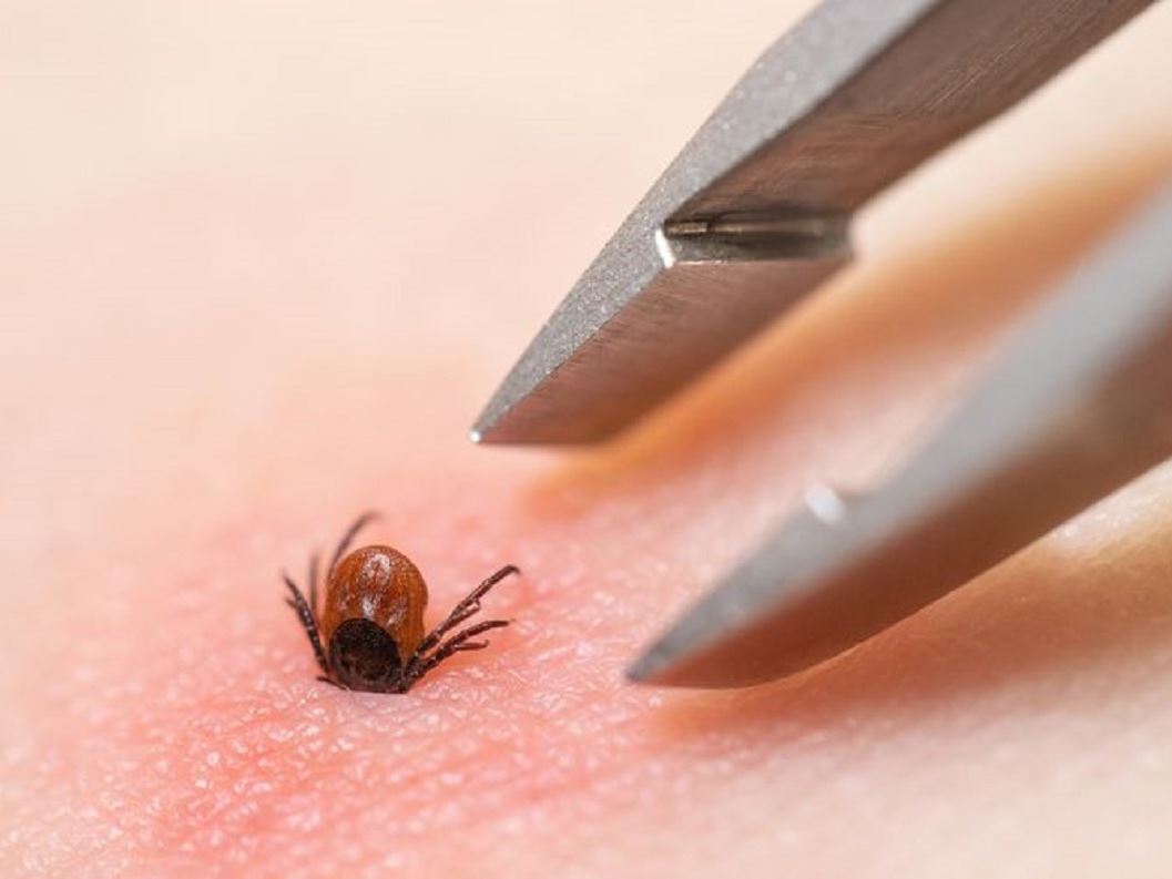 h g i 2199651477 6397140997 54 59 9 19 4 81