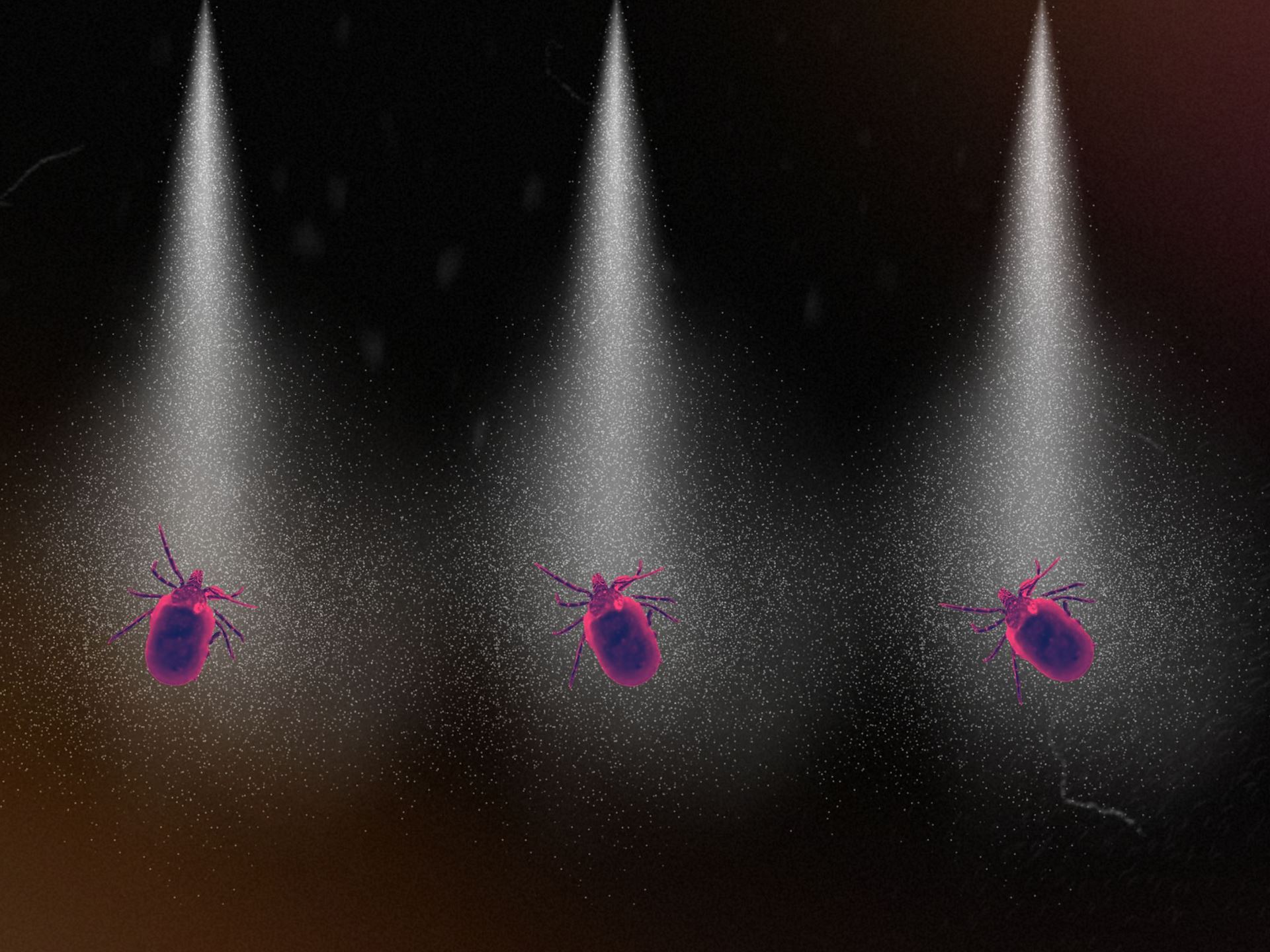 What Experts Use to Repel Ticks and Mosquitoes