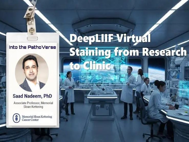 Pathoverse Part 6 DeepLIIF Virtual Restaining for Scalable High Accuracy Pathology AI