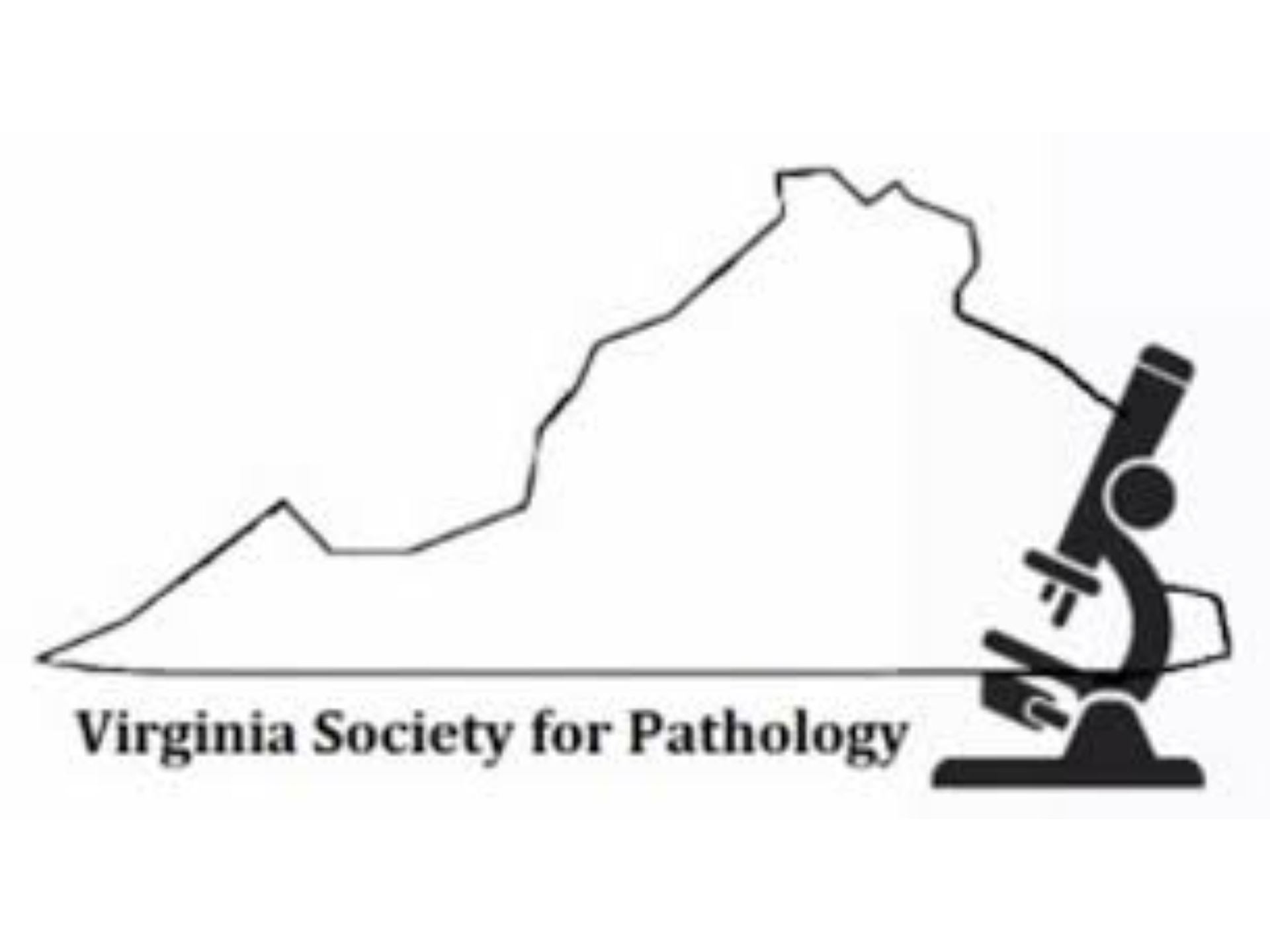 VSP Logo
