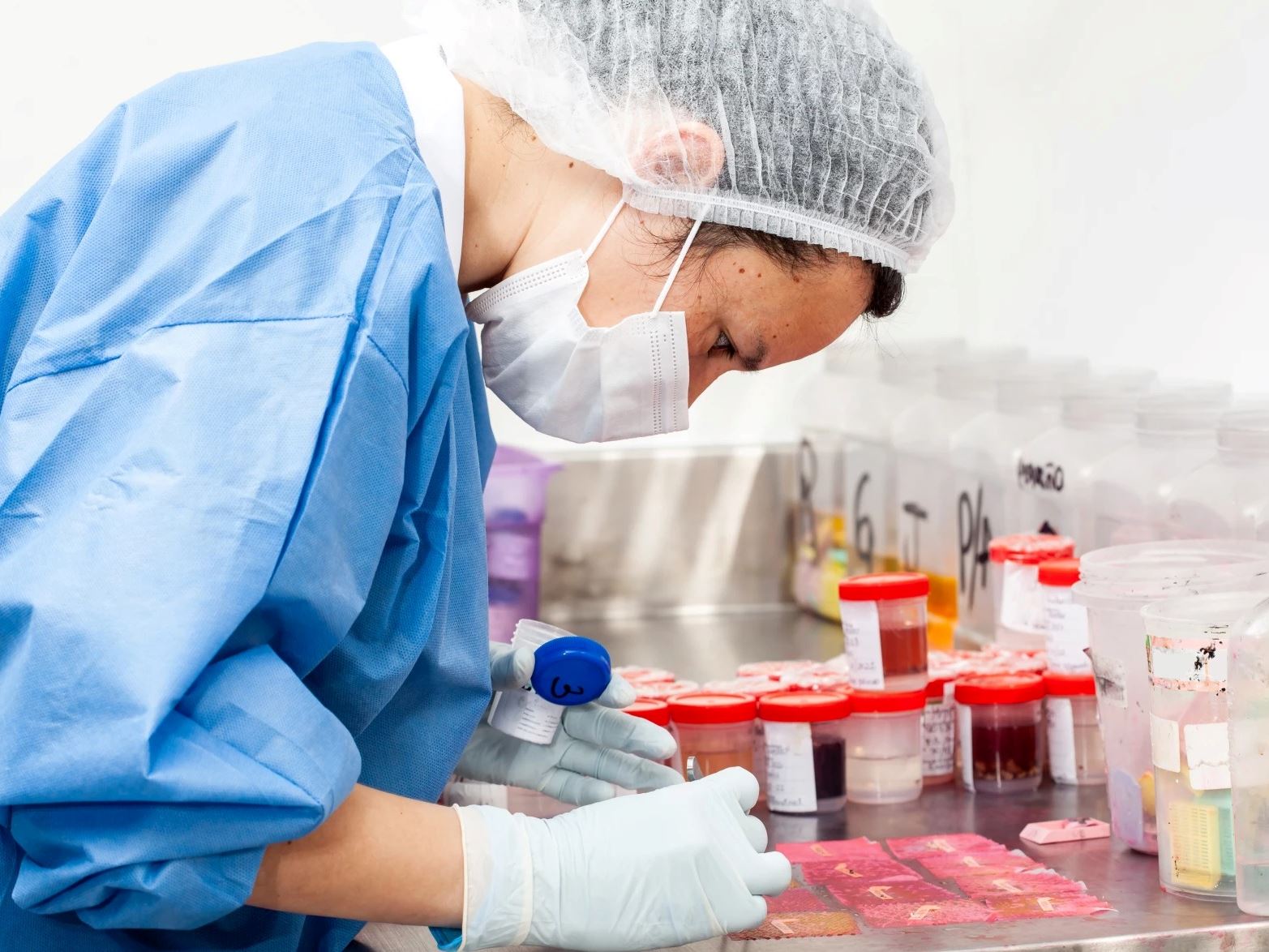 A scientist processes biopsy samples for examination