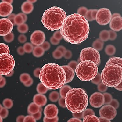 Cancer Cells