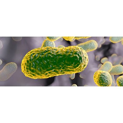 Forgotten Antibiotic From Decades Ago Could Be a Superbug Killer