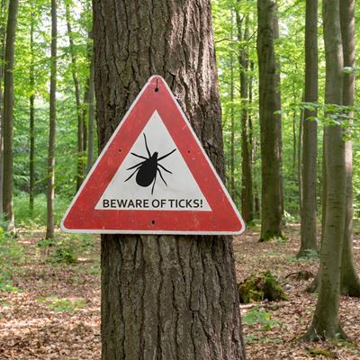 The Northeast the Upper Midwest and the West Coast are hot spots for ticks Getty Images