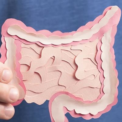 What is your gut microbiome?