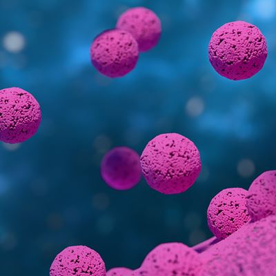 Exosomes Expand the Power of Liquid Biopsy in Cancer Diagnostics