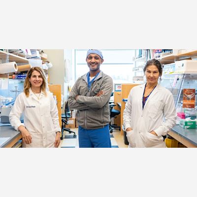 UC San Diego Health Now Offering Blood Test for Testicular Cancer