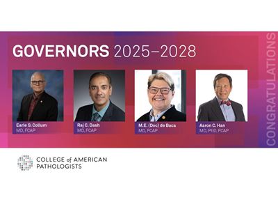 Governors 2025 2028