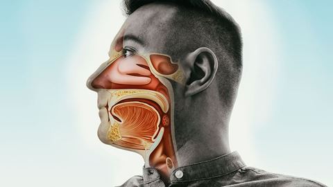 Human Papillomavirus HPV