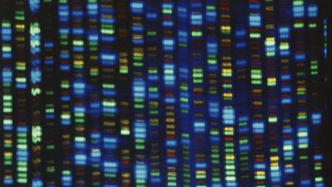 A decade after a landmark ruling, gene patents still threaten America’s health