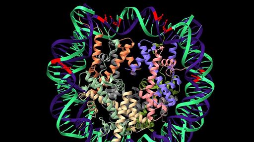 Breakthrough in Cancer Diagnostics CAP Explores DNA Methylation Profiling Revolutionizes Tumor Classification