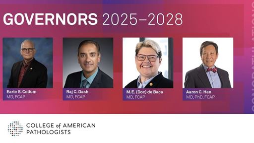 Governors 2025 2028
