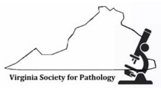 VSP Logo