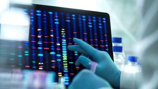 Donor Derived Cell Free DNA May Aid Monitoring of Kidney Transplant Recipients