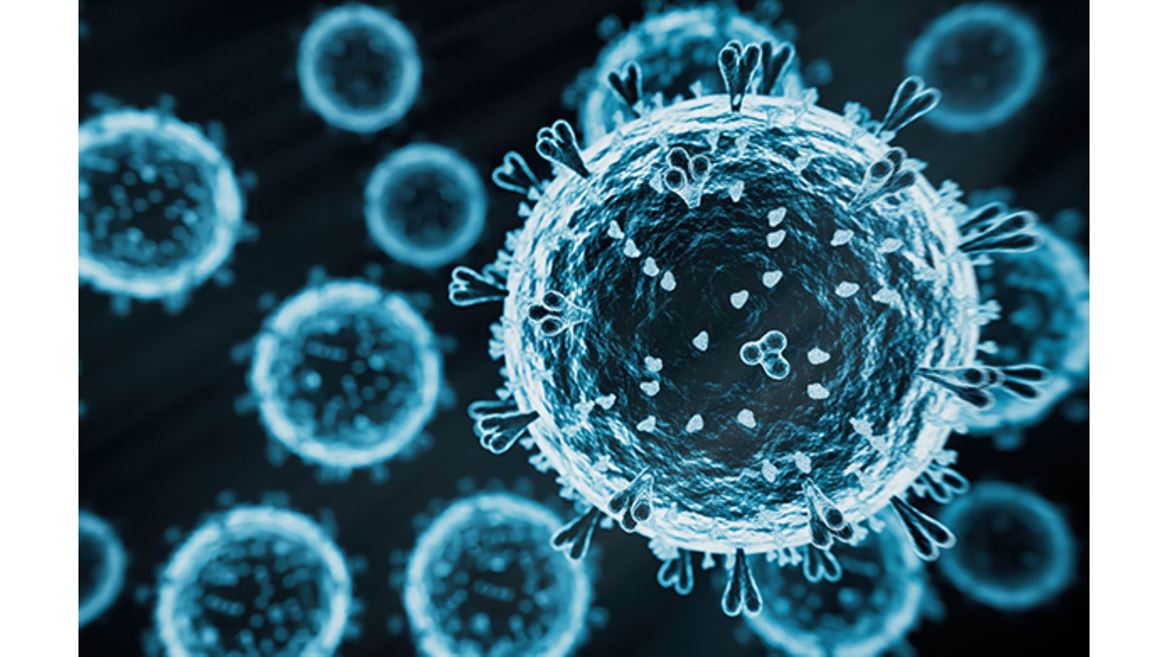 Help On the Way for Labs Testing for H5N1 Bird Flu