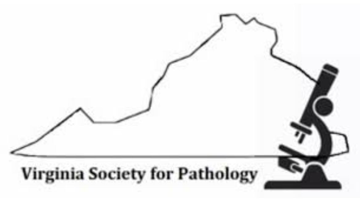 VSP Logo