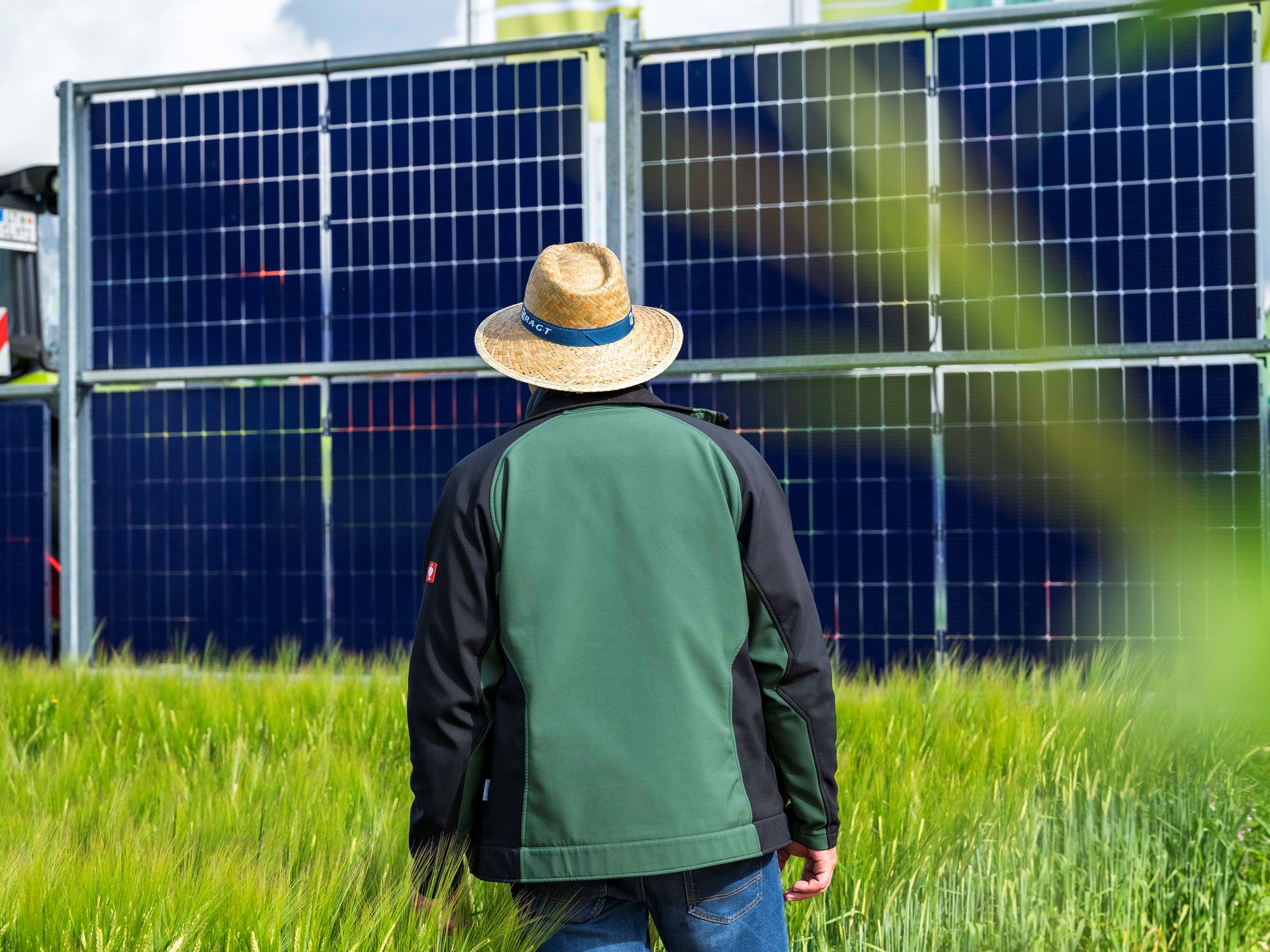 Agrivoltaics means the land has dual use for crops and for solar energy generation