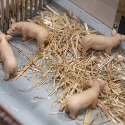 The picture shows the model of a pigsty from above There is some straw in the sty Four small pink plastic pigs are standing on it