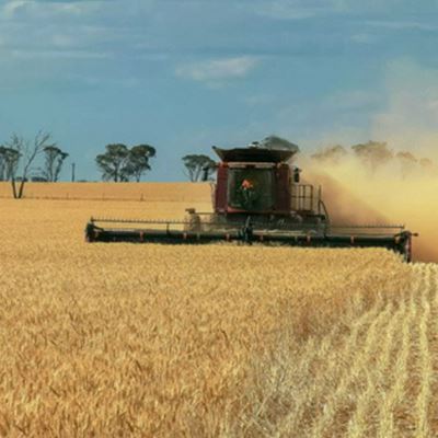 FutureAg sows seeds of drought resilience for Aussie farmers