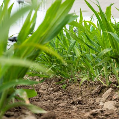 Soil Health is featured at Agritechnica 2025