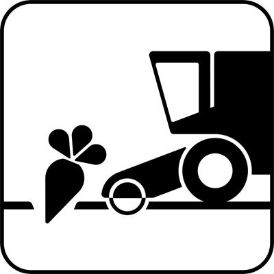 Trends in sugar beet harvesting