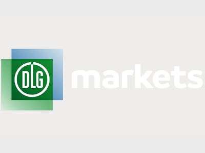 DLG Markets logo