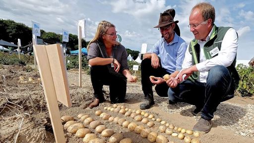  17 48 8 58 0 81765811437808