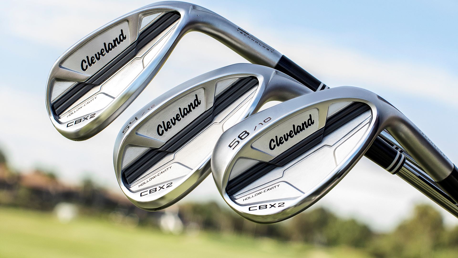 cbx2 wedges 1