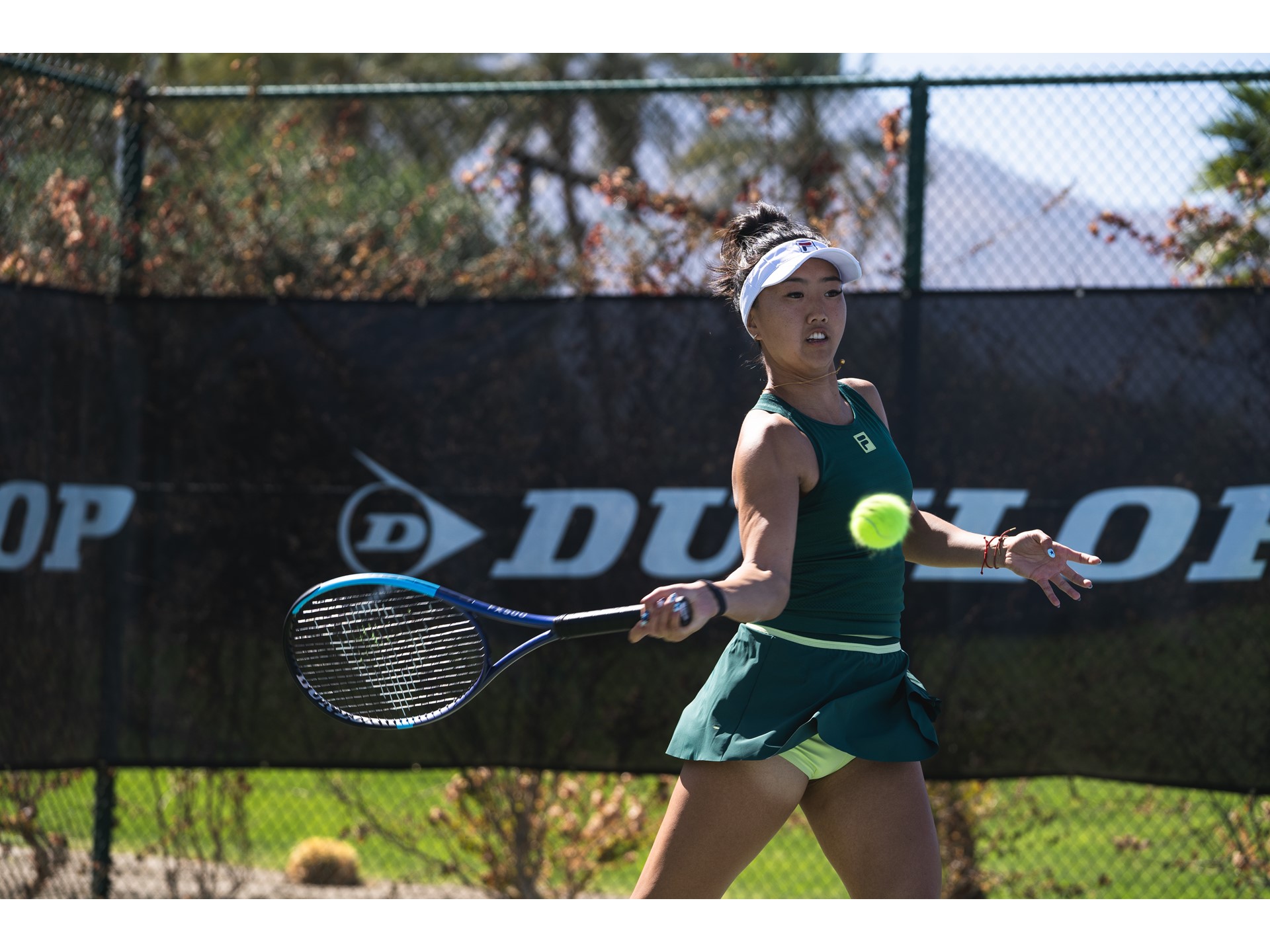 a l i w 2025dw300103