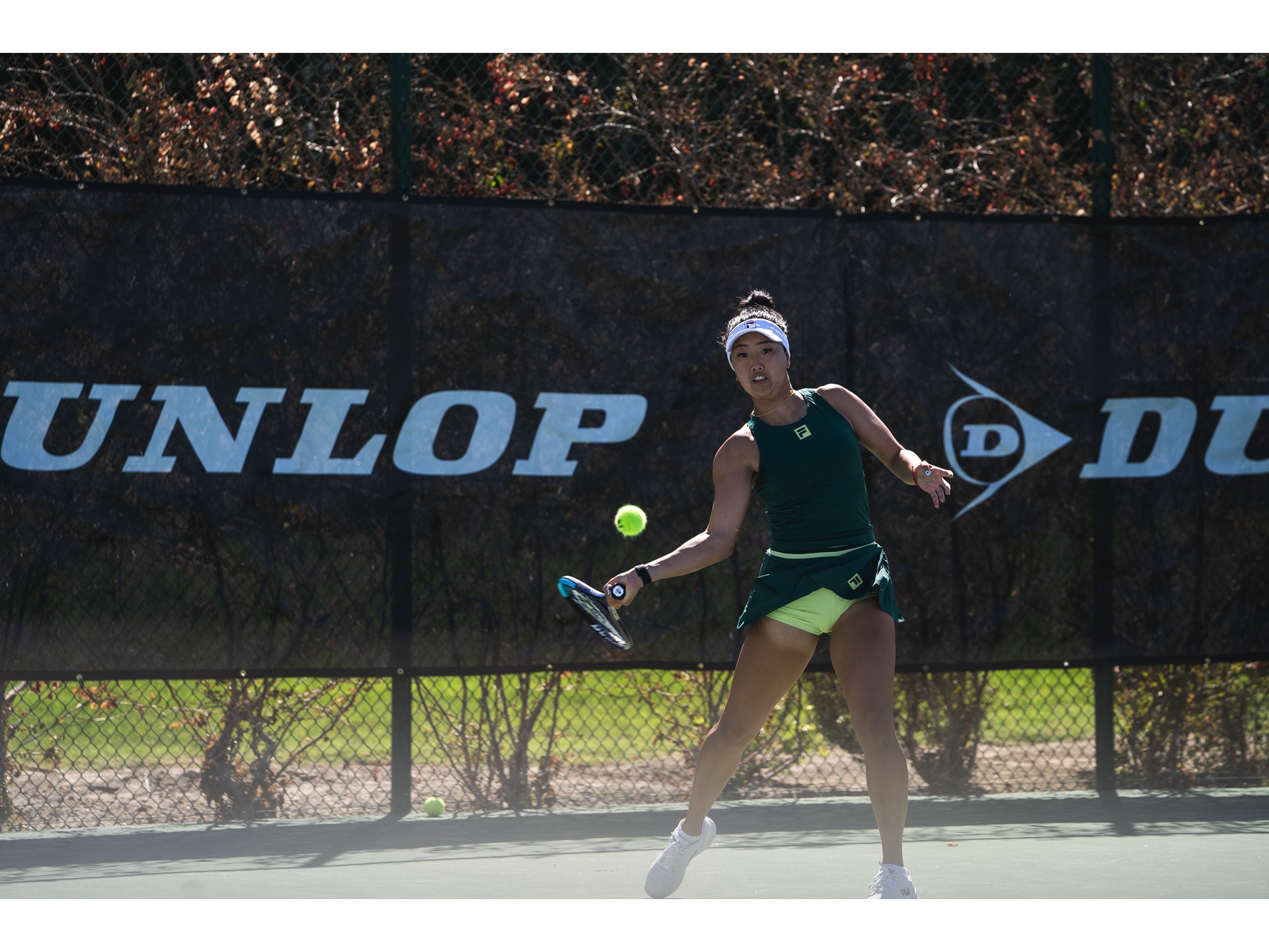 a l i w 2025dw300184