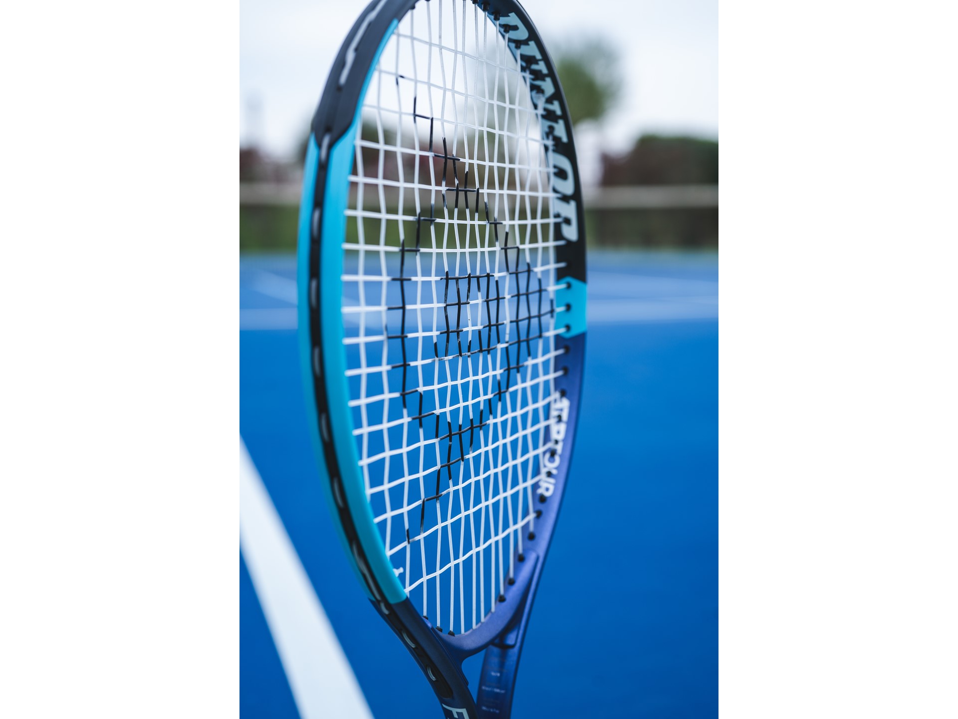 d n fx i w 2025dw300101