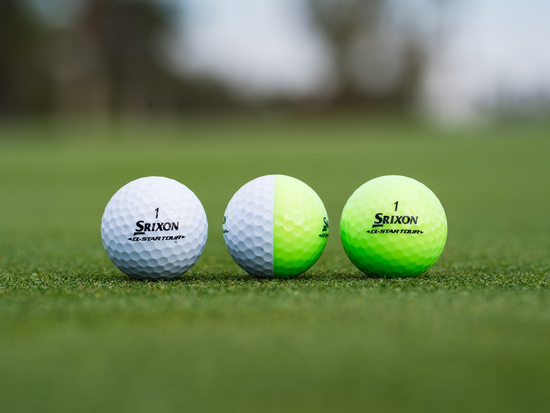 26srx qs t d w g 00562