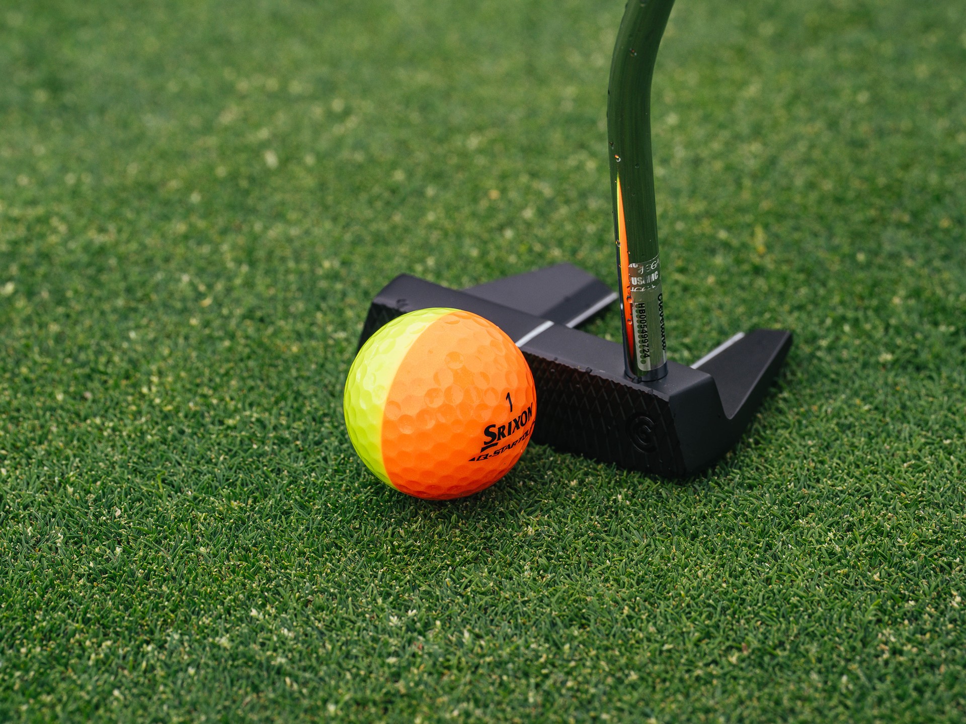 26srx q star d osn 00002