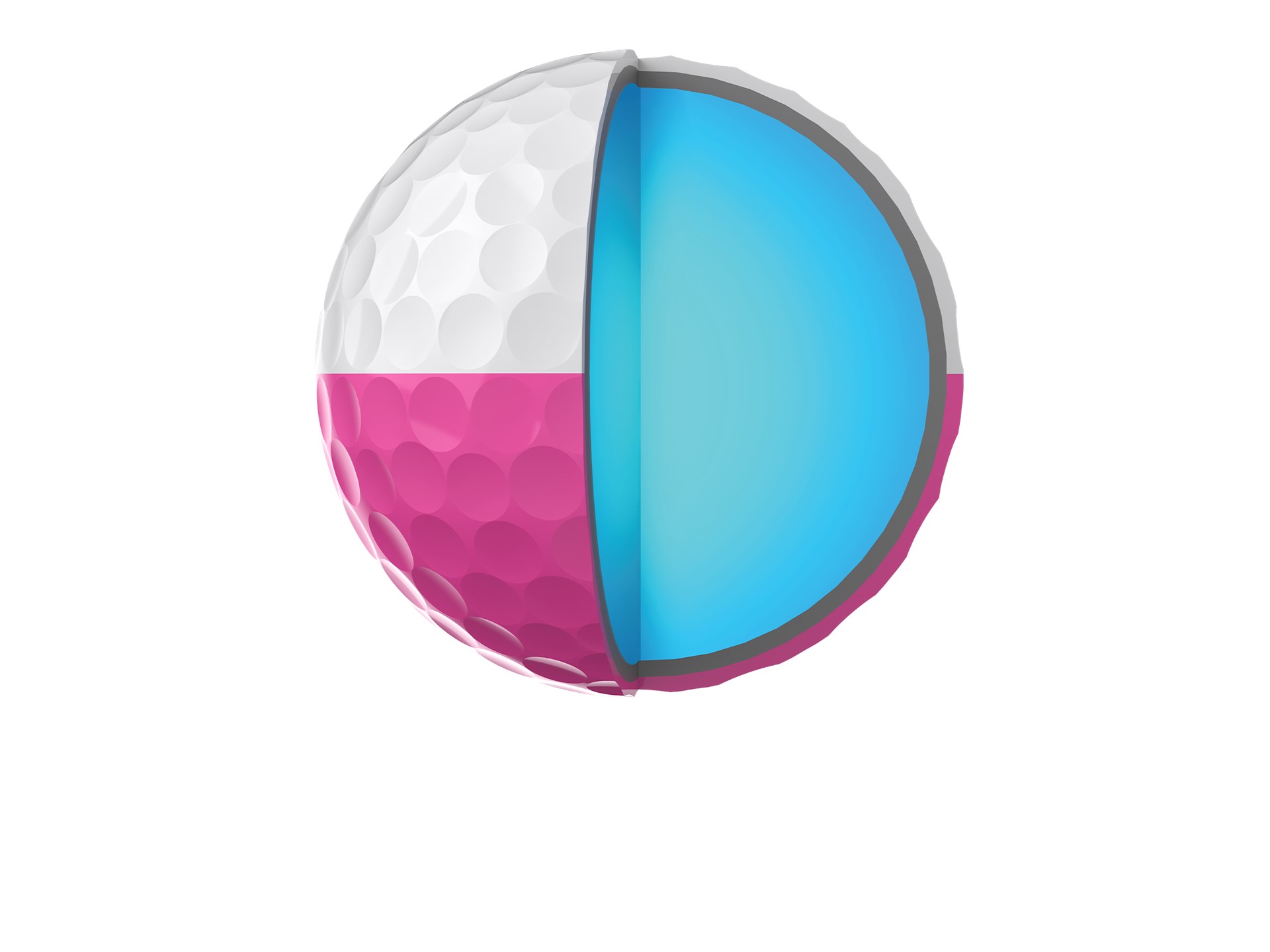 qst6 divide w p quarter 1
